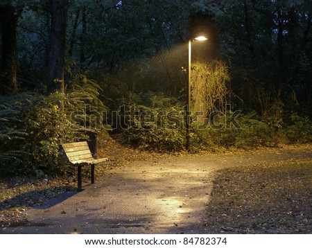 Night view of a park bench in the pool of light cast by a single streetlight. The wet sidewalk reflects the light. Beyond the light is dense vegetation.