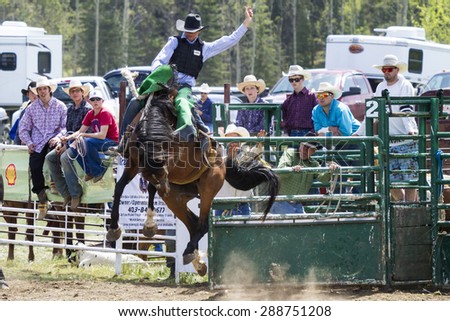 WATER VALLEY, CANADA - JUN 6 2015:Unidentified Cowboy participating in the Calf Roping at the Water Valley Rodeo. This annual event is important for the rural as well as the sport loving community.