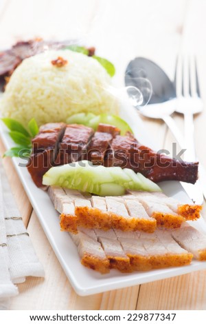 Chinese roasted pork belly served with soy and seafood sauce. Malaysian cuisine. Fresh cooked with hot steam and smoke.