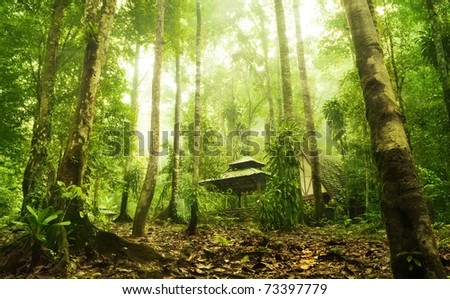 Image, Stock Photo Hut in the jungle near Ninh Binh, Vietnam