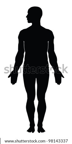 Human Body Outline. Vector Illustration - 98143337 : Shutterstock