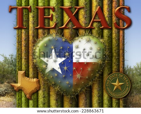 Digital Painting of a heart shaped prickly pear cactus with the Texas flag, Texas map, and my own custom Texas state seal, combined with my landscape photography.