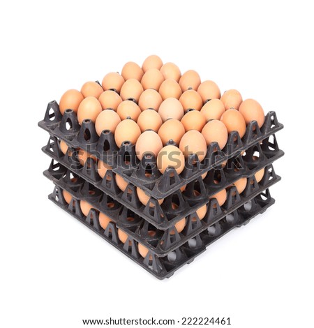 stack of eggs in tray on white background