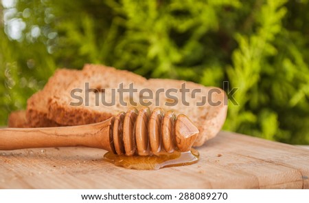 toasted bread with honey and honey dipper isolated on nature background.