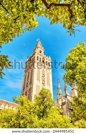 Similar – Foto Bild Catedral de Sevilla