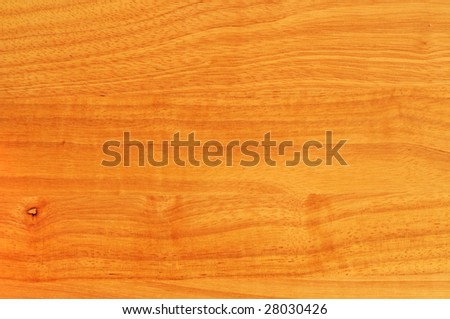 rubber hevea tree wood with knots textured background