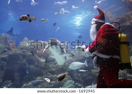 Santa Clause feeding fishes at Shark (note: image is slightly grainy due to low light condition.)
