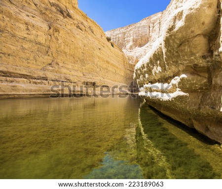 a deep gorge in the Negev desert with a natural water source