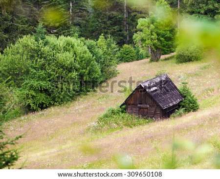 old wooden house in the Carpathian forest