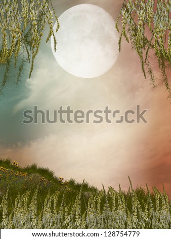 Magic landscape moon with flowers and cliff