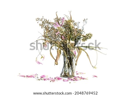 Similar – Image, Stock Photo Lost flower Flower Blossom