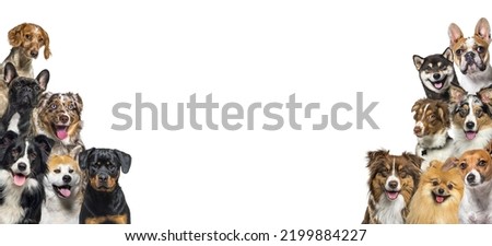 Two bunch of dogs looking in all directions on dark purple background