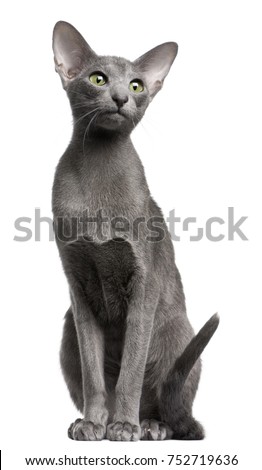 Shutterstock Puzzlepix