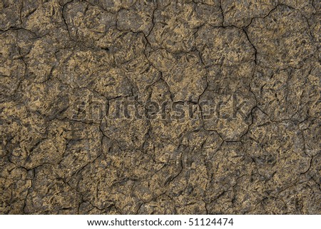 Textured dry ground of a salt lake