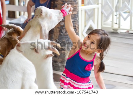 A little girl feeding a goat milk