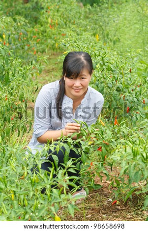 Asian women happy in pepper plant.