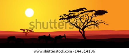 African savannah at sunset vector background