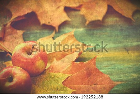 Background with the maple leaves