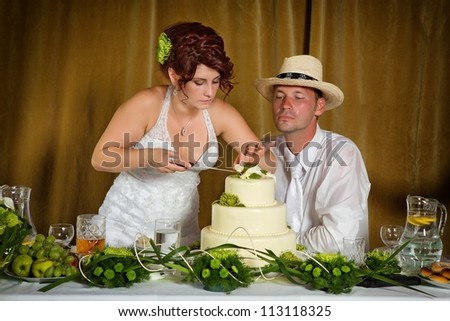 Bride and Groom Cutting the Wedding Cake