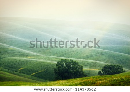 Rural countryside landscape in Tuscany region of Italy