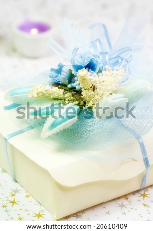 Romantic present with handsome bow