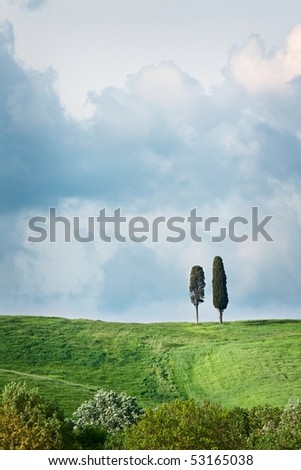 Beautiful landscape with blue sky and trees