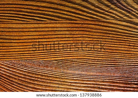 Texture of wooden surface in the sunshine