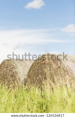 Summer scene with hay bales used for animal fodder
