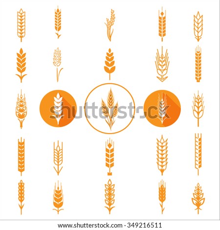 Gold flour coupon Coupons. Betty members save on the foods they crave! You’ll get up to $ a year in coupon savings, with new deals added monthly! General Mills coupons are worth more than you'll find on any other coupon-printing site, guaranteed.
