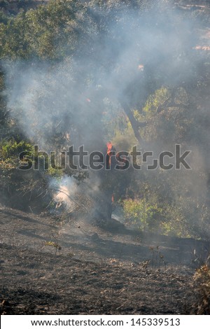 ZAKYNTHOS GREECE JULY 3: Fire at makris gialos small forest close to the sea low scale fire on July 03 2013 in Zakynthos,Greece