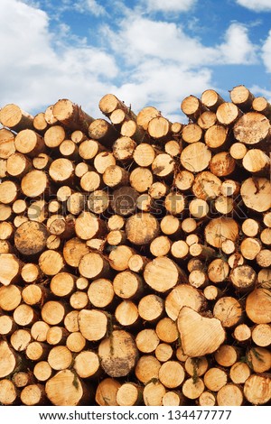 woodpile of freshly cut lumber stacked on the back of a truck for the timber industry