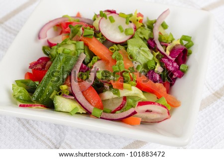 Mixed Leaf & Vegetable Summer Salad - Salad with cucumber, radish, red onions and peppers.