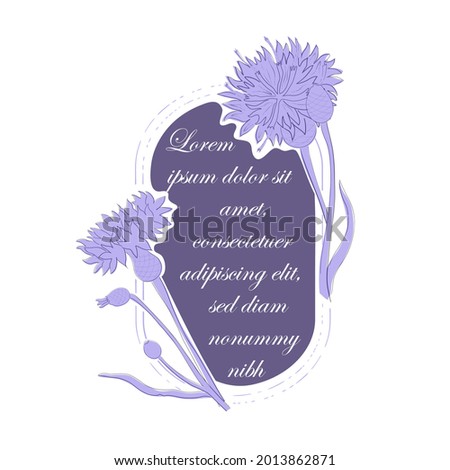Fragments of Roundish Frame with Curved Substrate and Cornflower parts. Hand Drawn Leaves, Flowers and Buds. Vector Illustration for Traditional Medicine Products, Posters, Designs. Stock foto © 