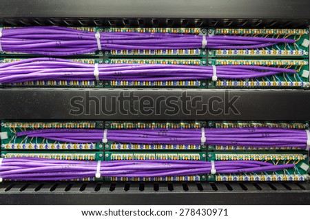 Large group of lilac utp, patch panel in the server rack in the data center