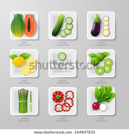 Infographic food vegetables flat lay idea. Vector illustration hipster concept.can be used for layout, advertising and web design.