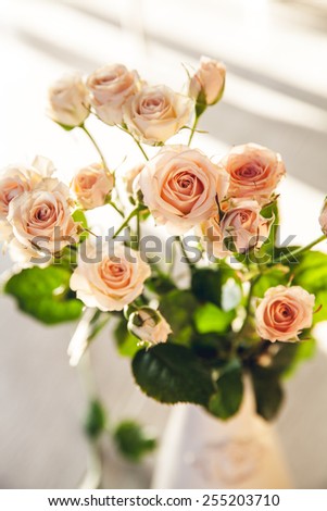 Beautiful bouquet of peach roses in vintage vase on a black background