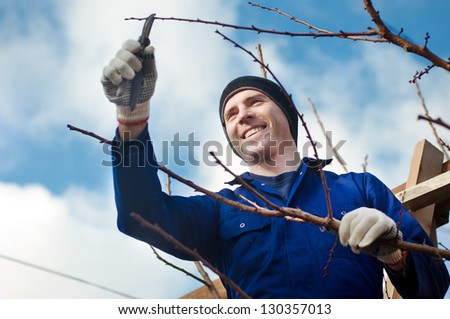 Portrait of young man  pruning apricot brunches with the pruner