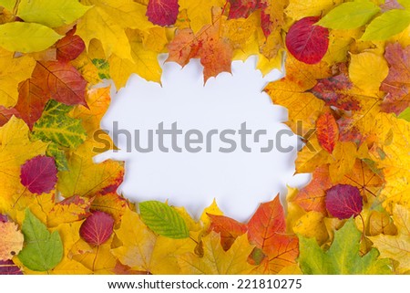 round frame of fallen autumn leaves of different color