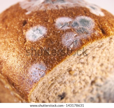 Similar – Image, Stock Photo rotting date | is rung in