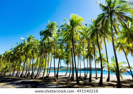 Image, Stock Photo daydream Pacific Ocean