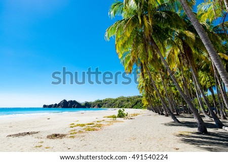 Similar – Image, Stock Photo daydream Pacific Ocean