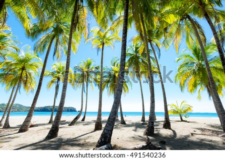 Similar – Image, Stock Photo daydream Pacific Ocean