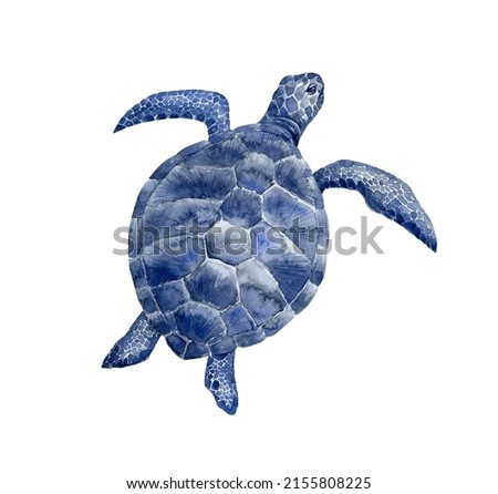Blue sea turtle. Watercolor illustration.