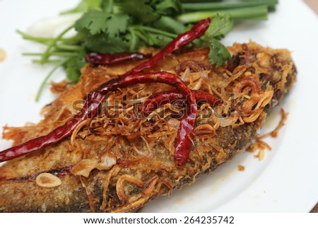 fried pickled fish the thai north east food
