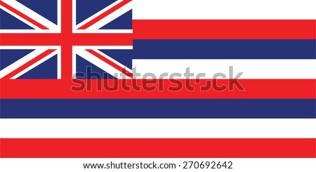 vector background of hawaii flag usa