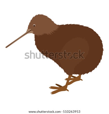 kiwi bird icon