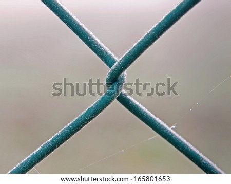 A mesh wire fence covered with ice crystals.