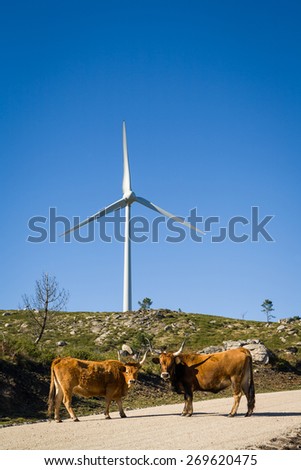 Wind farm. Modern windmills or wind turbines in the countryside landscape. Electricity is powered ecological and considered better for the environment over oil and other fossil fuels.