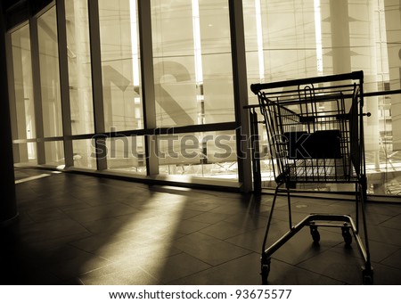 The shopping cart is abandoned after usage. Someone said the shopping is a good therapy rather than any medication for women. Agree?