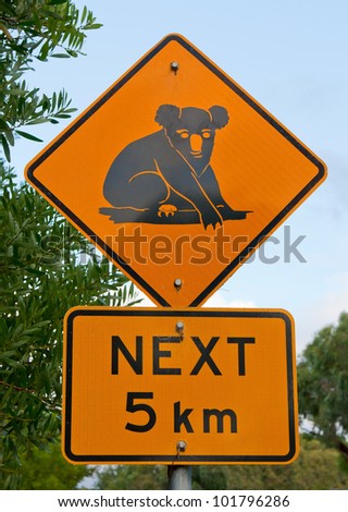 Australian road sign indicating the possibility of koalas.